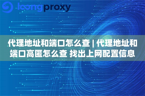 代理地址和端口怎么查 | 代理地址和端口高匿怎么查 找出上网配置信息