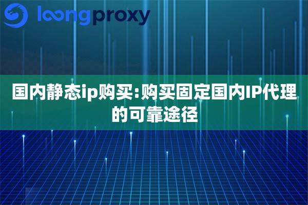 国内静态ip购买:购买固定国内IP代理的可靠途径