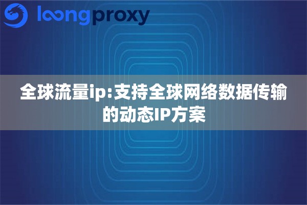 全球流量ip:支持全球网络数据传输的动态IP方案