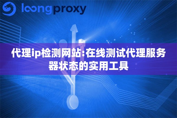代理ip检测网站:在线测试代理服务器状态的实用工具
