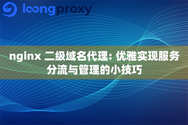 nginx 二级域名代理: 优雅实现服务分流与管理的小技巧