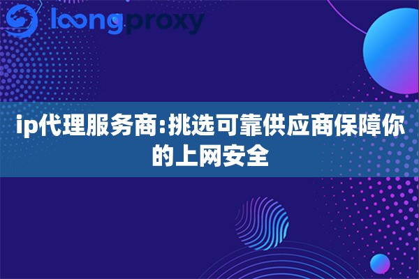 ip代理服务商:挑选可靠供应商保障你的上网安全