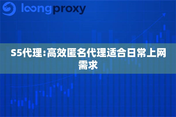 S5代理:高效匿名代理适合日常上网需求