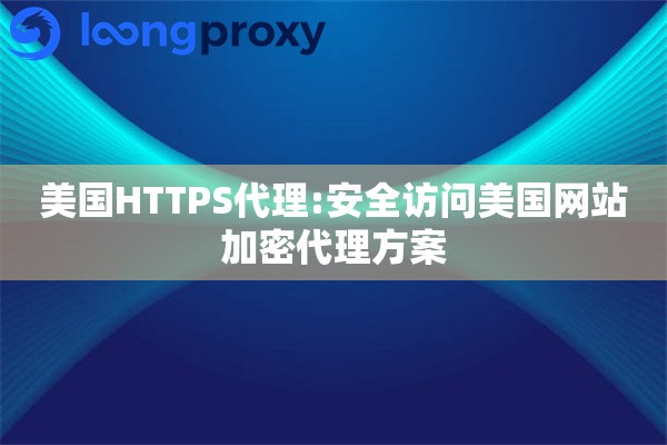 美国HTTPS代理:安全访问美国网站加密代理方案