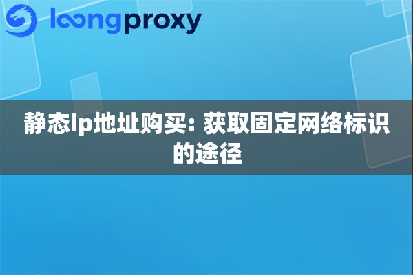 静态ip地址购买: 获取固定网络标识的途径