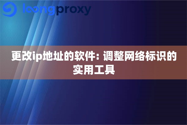 更改ip地址的软件: 调整网络标识的实用工具