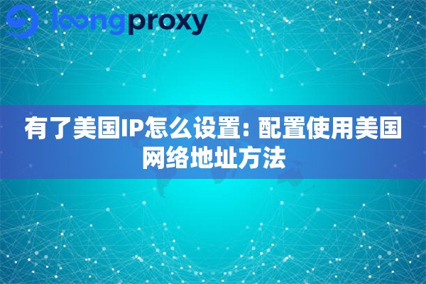 有了美国IP怎么设置: 配置使用美国网络地址方法