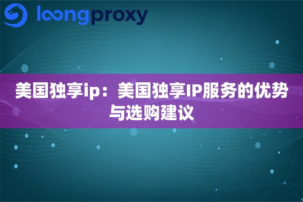 美国独享ip：美国独享IP服务的优势与选购建议