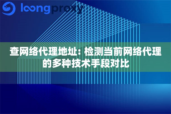查网络代理地址: 检测当前网络代理的多种技术手段对比