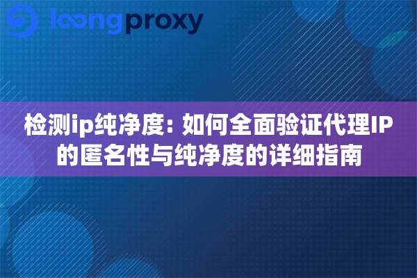 检测ip纯净度: 如何全面验证代理IP的匿名性与纯净度的详细指南