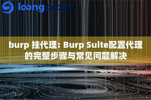 burp 挂代理: Burp Suite配置代理的完整步骤与常见问题解决