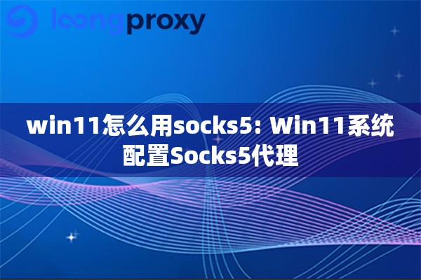 win11怎么用socks5: Win11系统配置Socks5代理