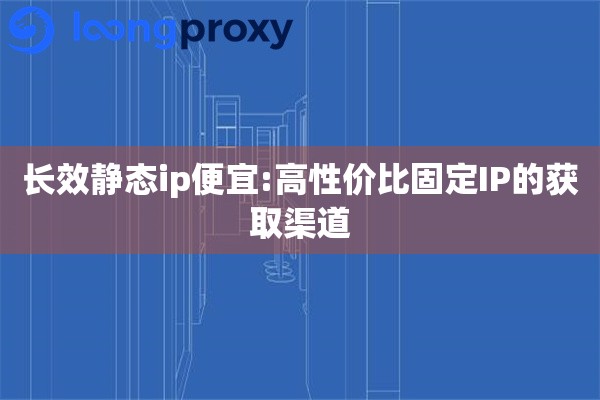 长效静态ip便宜:高性价比固定IP的获取渠道