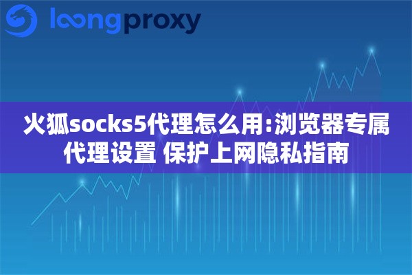 火狐socks5代理怎么用:浏览器专属代理设置 保护上网隐私指南