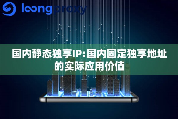 国内静态独享IP:国内固定独享地址的实际应用价值