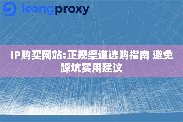 IP购买网站:正规渠道选购指南 避免踩坑实用建议