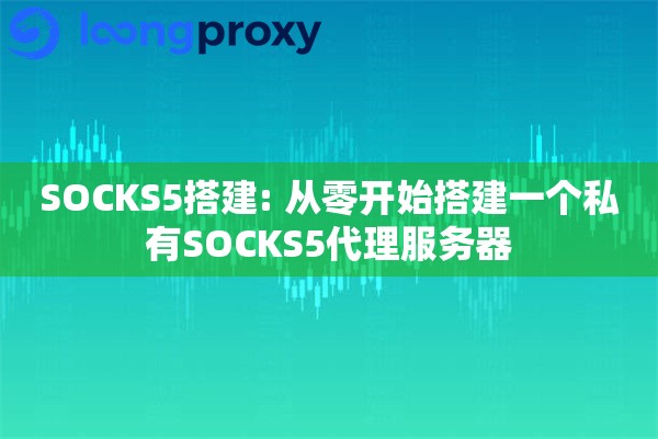 SOCKS5搭建: 从零开始搭建一个私有SOCKS5代理服务器