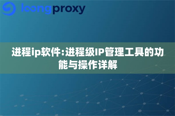 进程ip软件:进程级IP管理工具的功能与操作详解