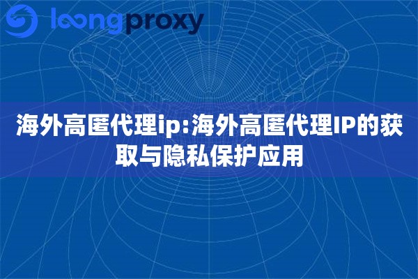 海外高匿代理ip:海外高匿代理IP的获取与隐私保护应用