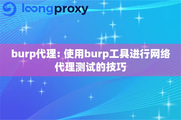 burp代理: 使用burp工具进行网络代理测试的技巧
