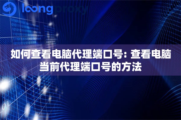 如何查看电脑代理端口号: 查看电脑当前代理端口号的方法