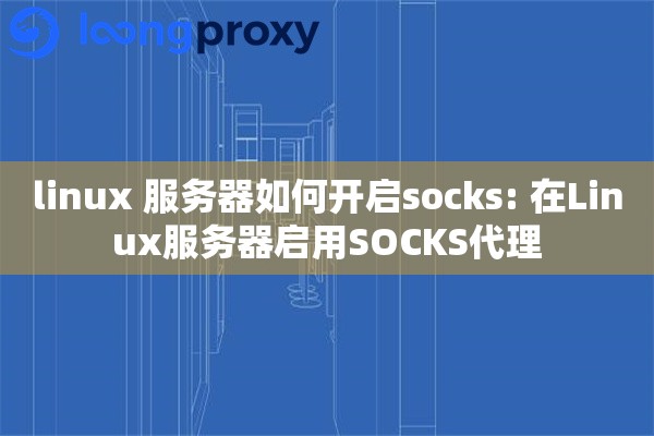 linux 服务器如何开启socks: 在Linux服务器启用SOCKS代理