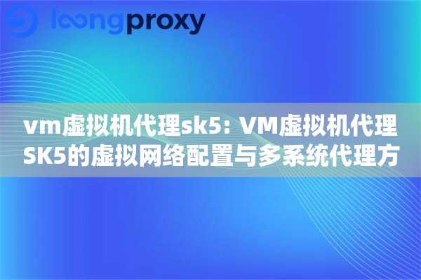vm虚拟机代理sk5: VM虚拟机代理SK5的虚拟网络配置与多系统代理方案