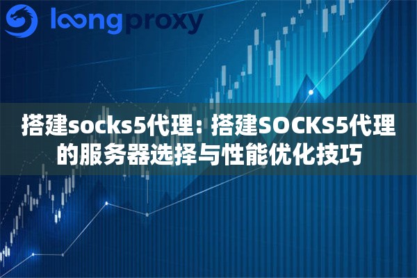 搭建socks5代理: 搭建SOCKS5代理的服务器选择与性能优化技巧