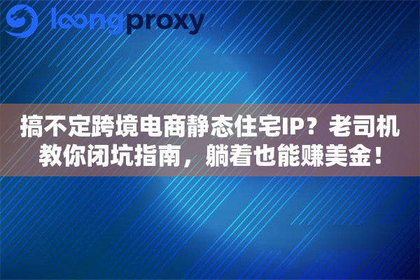 搞不定跨境电商静态住宅IP？老司机教你闭坑指南，躺着也能赚美金！