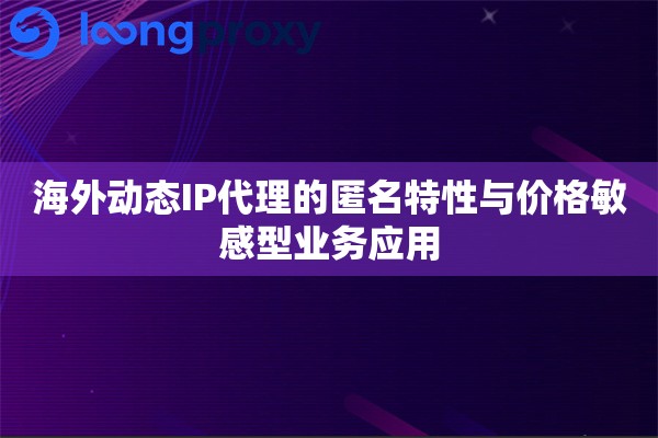 海外动态IP代理的匿名特性与价格敏感型业务应用