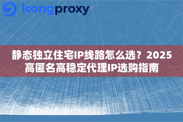 静态独立住宅IP线路怎么选？2025高匿名高稳定代理IP选购指南