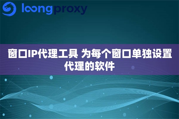 窗口IP代理工具 为每个窗口单独设置代理的软件