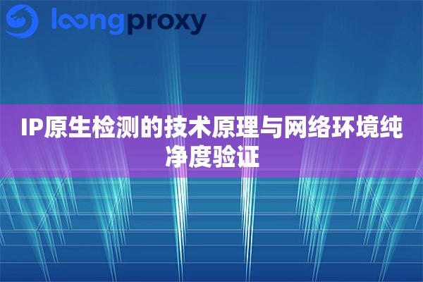 IP原生检测的技术原理与网络环境纯净度验证