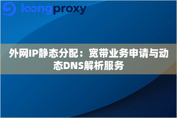 外网IP静态分配：宽带业务申请与动态DNS解析服务