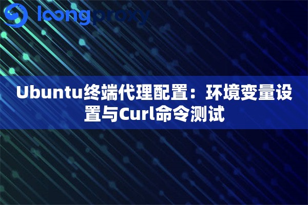 Ubuntu终端代理配置：环境变量设置与Curl命令测试