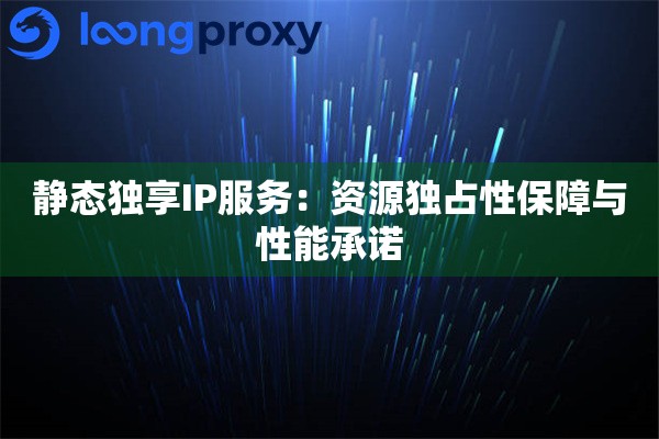 静态独享IP服务：资源独占性保障与性能承诺