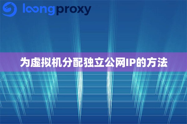 为虚拟机分配独立公网IP的方法 为虚拟机分配独立公网IP的方法