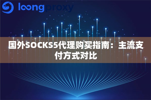 国外SOCKS5代理购买指南：主流支付方式对比