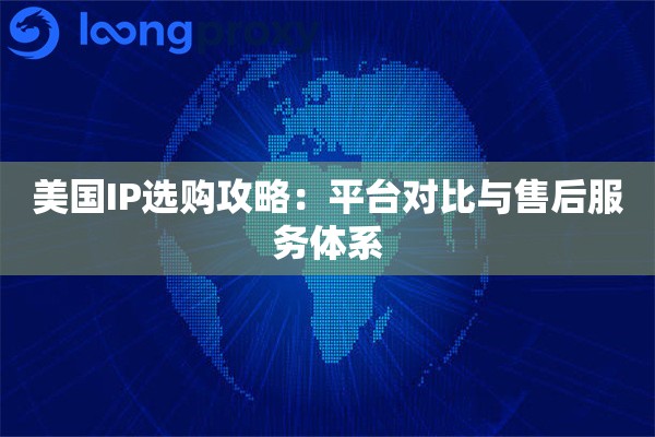 美国IP选购攻略：平台对比与售后服务体系