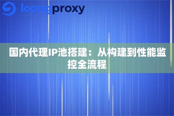 国内代理IP池搭建：从构建到性能监控全流程
