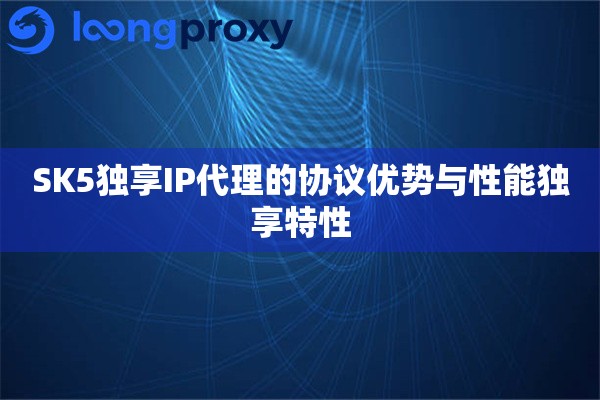 SK5独享IP代理的协议优势与性能独享特性