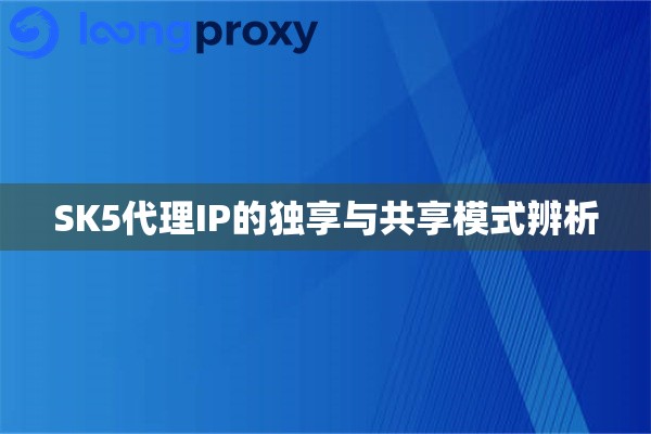 SK5代理IP的独享与共享模式辨析