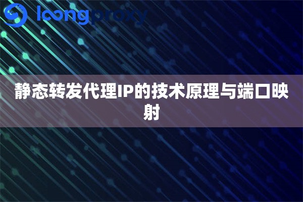 静态转发代理IP的技术原理与端口映射