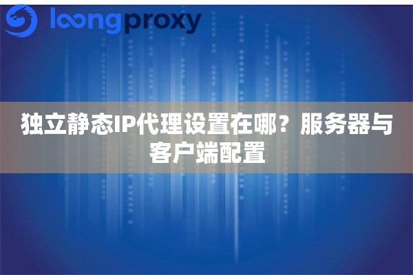 独立静态IP代理设置在哪？服务器与客户端配置