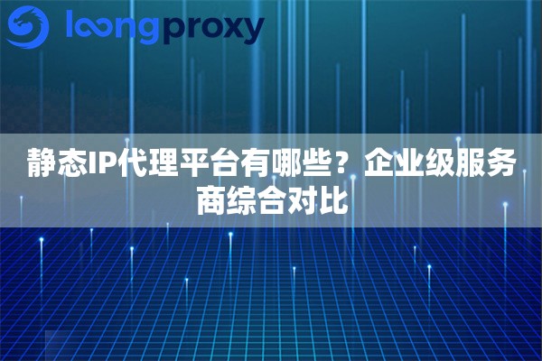 静态IP代理平台有哪些？企业级服务商综合对比