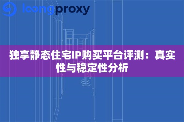 独享静态住宅IP购买平台评测:真实性与稳定性分析 独享静态住宅IP购买平台评测:真实性与稳定性分析