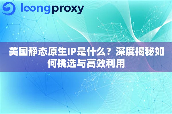 美国静态原生IP是什么？深度揭秘如何挑选与高效利用