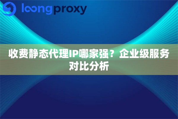 收费静态代理IP哪家强？企业级服务对比分析