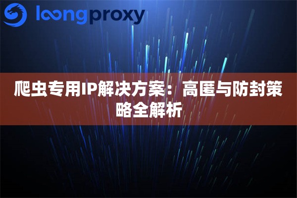 详细阅读:爬虫专用IP解决方案:高匿与防封策略全解析 爬虫专用IP解决方案:高匿与防封策略全解析
