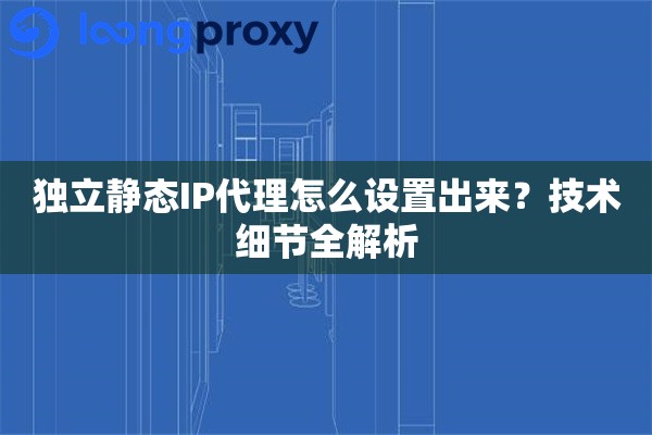 独立静态IP代理怎么设置出来？技术细节全解析
